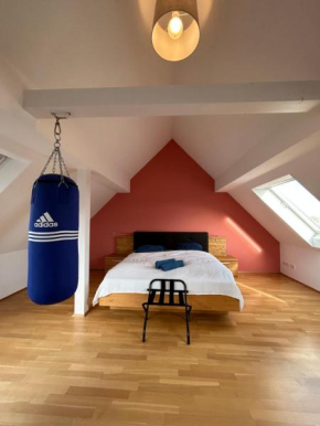 Loft mit 2 Terrassen - ruhig&sonnig